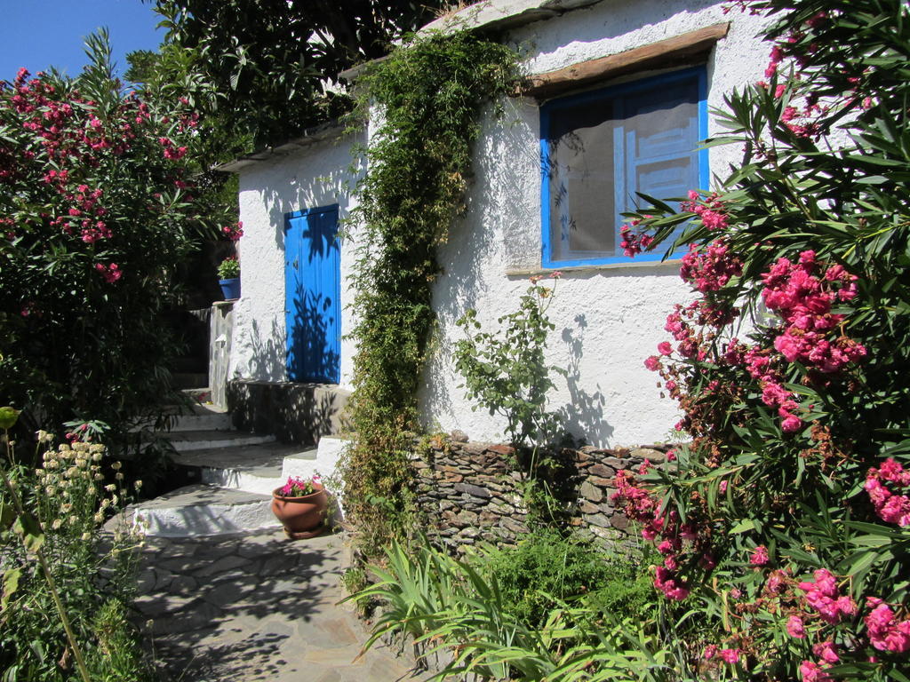 Bed and Breakfast Sierra Y Mar Ferreirola Номер фото