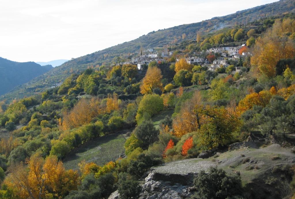 Bed and Breakfast Sierra Y Mar Ferreirola Екстер'єр фото
