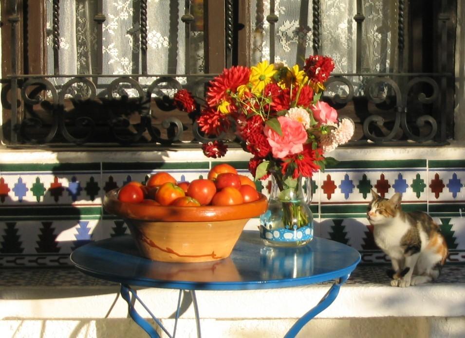 Bed and Breakfast Sierra Y Mar Ferreirola Екстер'єр фото