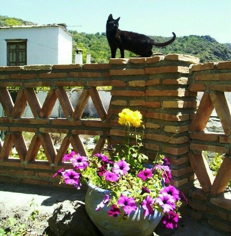 Bed and Breakfast Sierra Y Mar Ferreirola Екстер'єр фото