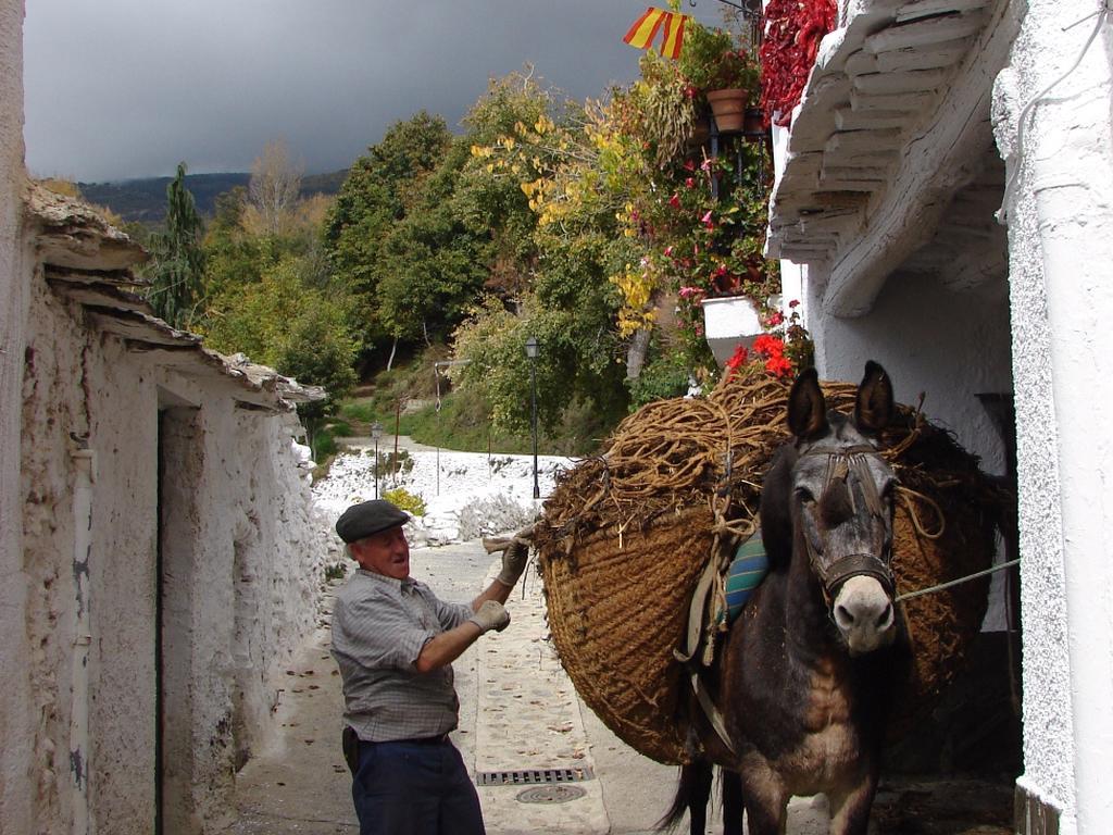 Bed and Breakfast Sierra Y Mar Ferreirola Екстер'єр фото