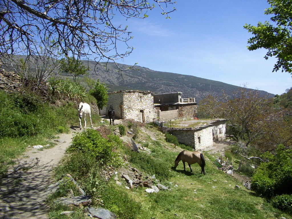 Bed and Breakfast Sierra Y Mar Ferreirola Екстер'єр фото